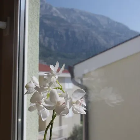 And Mare Makarska